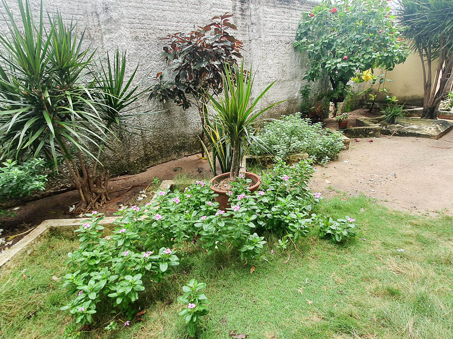 Apartamento à Venda no Bairro de Fátima 3 Quartos 1 Vaga em Fortaleza